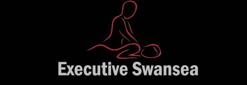 Executive Swansea